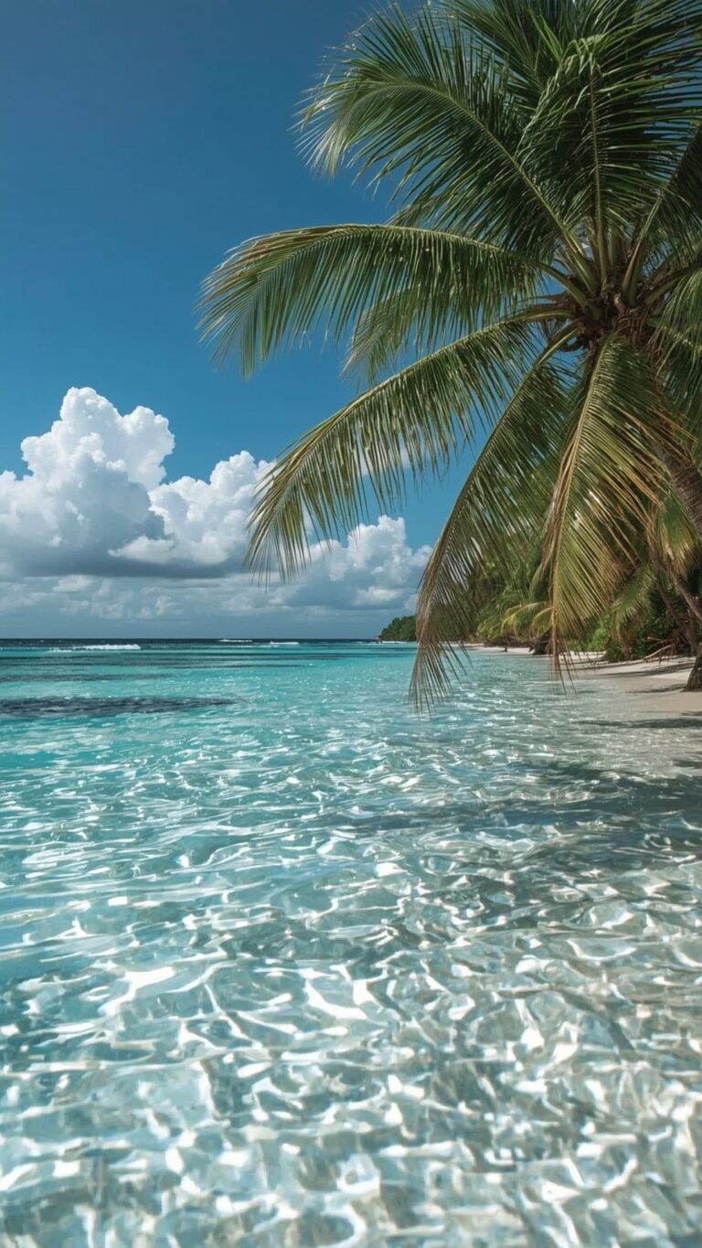 Beach with blue water